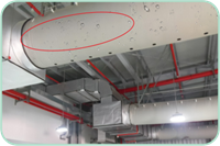 首页| 918博天堂中国官方网站